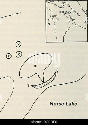 . The Canadian field-naturalist.  ® ^---^-(S *—1 Springs (x} Sinkholes (approximate, not all shown) Remains of beaver dam (full extent not known). Horse Lake / , Former extent of Horse Lake lake Figure . Sketch diagram of karst and Beaver dam between Horse and Marr lakes, Bruce Peninsula. Ontario.. Please note that these images are extracted from scanned page images that may have been digitally enhanced for readability - coloration and appearance of these illustrations may not perfectly resemble the original work.. Ottawa Field-Naturalists' Club. Ottawa, Ottawa Field-Naturalists' Club Stock Photo