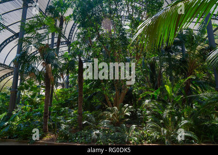 Greenhouse in Parc de la Ciutadella, Barcelona, Catalunia, Spain Stock Photo