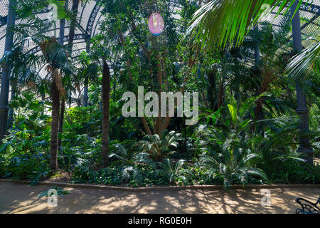 Greenhouse in Parc de la Ciutadella, Barcelona, Catalunia, Spain Stock Photo