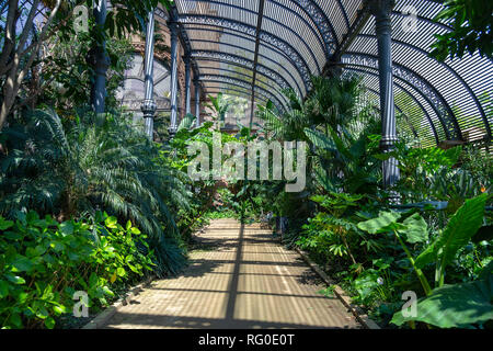 Greenhouse in Parc de la Ciutadella, Barcelona, Catalunia, Spain Stock Photo