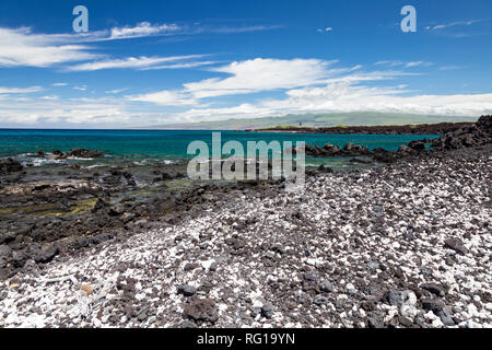 Coastal strip on the Big Island of Hawaii with a lone palm in the distance Stock Photo