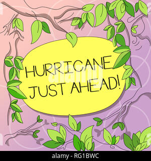 Word writing text Hurricane Just Ahead. Business concept for violent tropical cyclone is approaching to hit the land Tree Branches Scattered with Leav Stock Photo