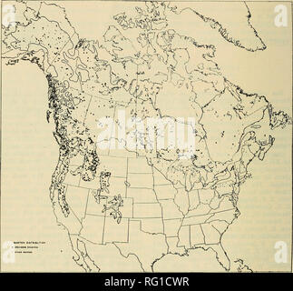 . The Canadian field-naturalist. 150 The Canadian Field-Naturalist [Vol. 70. Fig. 1. Marten distribution have decreased in numbers in the past several centuries (Henderson and Craig 1932, Seton 1925-28, Allen 1942, Yeager 1950, Minville 1946, Innis 1927, Anon. 1927-50, Squires 1946, Butler 1950). The distribution of fisher is similar to but not identical with that of marten. Their northern limit is 10° south of that of marten, and, while they extend as far south in the Pacific mountains, their range is more restricted in the Rocky Mountains, and more extended in the eastern United States. Whil Stock Photo