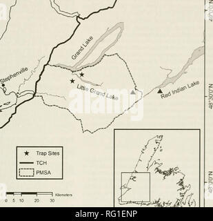 . The Canadian field-naturalist. Natural history; Sciences naturelles. 57'30&quot;0&quot;W I 57'0'0&quot;W I (J t=&gt;P^. • Trap Sites TCH 1 PMSA 0 5 10 20 30 ± 58°0'0&quot;W 57°30'0&quot;W 57°0'0&quot;W 58°30'0&quot;W Figure 1. Map of southwestern Newfoundland showing location of Southern Red-backed Vole {Clethrionomys gapperi) cap- tures in 1999, and capture sites relative to other areas mentioned in text; Aindicates location of first Southern Red- backed Vole capture in Red Indian Lake area in 2001. Inset map shows the location of areas relative to the island of Newfoundland. graphic parame Stock Photo