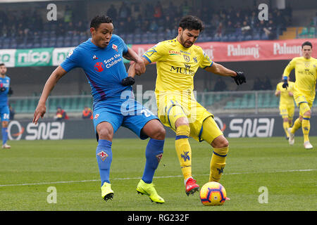 Foto Paola Garbuio/LaPresse 27 gennaio 2019 Verona, Italia sport calcio Chievo Verona  vs Fiorentina- Campionato di calcio Serie A TIM 2018/2019 - stadio Bentegodi Nella foto: muriel,leris  Photo Paola Garbuio/LaPresse January 27, 2019 Verona, Italy sport soccer Chievo Verona  vs Fiorentina - Italian Football Championship League A TIM 2018/2019 -  stadio Bentegodi. In the pic:muriel,leris Stock Photo