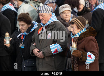 Oswiecim, Poland. 27th Jan, 2019. Holocaust survivors and their relatives carry candles to commemorative plaques at the memorial in the former German concentration camp Auschwitz-Birkenau during the International Holocaust Memorial Day ceremony. Credit: Bernd Thissen/dpa/Alamy Live News Stock Photo