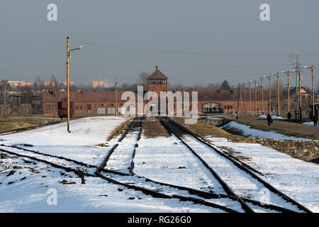 Oswiecim, Poland. 27th Jan, 2019. Railway tracks on the site of the former Auschwitz-Birkenau concentration camp. January 27 is Holocaust Memorial Day. Credit: Bernd Thissen/dpa/Alamy Live News Stock Photo