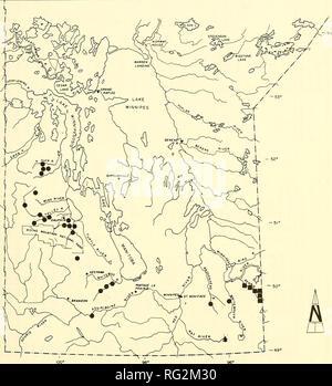 . The Canadian field-naturalist. HARBICHT, FRANZIN, and STEWART: NEW RECORDS FOR MINNOWS 481. Figure 3. Distribution of Phoxinus neogaeus in Manitoba. â previously published locations; â¢ new locations.. Please note that these images are extracted from scanned page images that may have been digitally enhanced for readability - coloration and appearance of these illustrations may not perfectly resemble the original work.. Ottawa Field-Naturalists' Club. Ottawa, Ottawa Field-Naturalists' Club Stock Photo