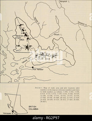 . The Canadian field-naturalist. 1985 Clement: Floodplain Succession on Vancouver Island 35. Nimpkish L. Figure L Map of study area and plot locations (plot numbers on the map are reference numbers and relate to field numbers as follows: 1-TOl, 2-T02, 3-T08. 4-T14, 5-T15, 6-T32, 7-T39, 8-T41, 9-T44, 10-T45, 11-T46, 12-T48, 13-T51, 14-T52, 15-T53, 16-T56, 17-T60, 18-T66, 19-A09, 20-AlO, 21-A 19, 22-A20, 23-A28. 24-A30, 25-A31, 26-A32, 27-A65, 28-A66, 29-A67). BRITISH COLUMBIA Vancouver. Please note that these images are extracted from scanned page images that may have been digitally enhanced fo Stock Photo