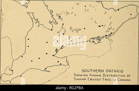 . The Canadian field-naturalist. 104 The Canadian Field-Naturalist [Vol. 57 THE SWAMP CRICKET FROG, Pseudacris nigrita triseriata, IN CANADA' By E. B. S. LoGiER and G. C. Toner Royal OntOA-io Museum of Zoology, Toronto As HAS BEEN MENTIONED before in this jour- nal, Logier and Toner, Can. Field-Nat., 56: 15, 1942; — Ibid., 56: 126, 1942; a check list of amphibians and reptiles of Canada, Alaska and Newfoundland is in preparation. The work is progressing but the need for more information and specimens is apparent. Data on many of our commonest species, away from centers of population, is lackin Stock Photo