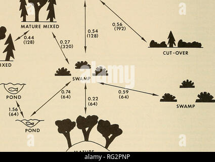. The Canadian field-naturalist. 256 The Canadian Field-Naturalist Vol. 92 m MATURE MIXED m MATURE MIXED ^ (128) Miff Ml CUT-OVER. MATURE DECIDUOUS Figure 3. Movements between different habitats as indicated by the track index in Mont-Tremblant Park. we noticed the tracks of two Moose. The road was ploughed up by hooves at two different places and the animals had faced each other, suggesting a bull fight. Discussion Knorre (1959) estimated that Moose were active 14 h per d in summer. Direct observa- tions of Moose on land show that when active, they fed on shrubs and sometimes on forbs (McMill Stock Photo
