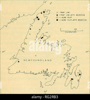 . The Canadian field-naturalist. The Canadian Field-Naturalist Vol. 87 tract to Pruitt, (CWS 6869-064). We are grate- ful to Lorna Payne, Harvey Payne and Roger Wilson for assistance in trapping. Methods and Description of Habitats We employed two basic methods in the col- lection of specimens. Pruitt, from 1965 to 1971, trapped standard 1-acre plots with 5,700 trap nights (TN) using Schuyler No. 3 and Museum Special snap traps, (Pruitt, 1966, 1968, 1972). Folinsbee and Riewe in 1967 (3,894 TN), Folinsbee in 1968 (1,201 TN) and Grant in 1968 (267 TN) using Sherman and Longworth live traps. Mus Stock Photo