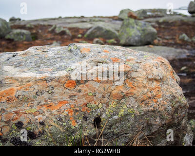 Colorful mountain stone on the way to Trolltunga, Norway Stock Photo