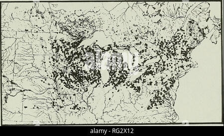 . The Canadian field-naturalist. 1993 Goodchild: Status of the Striped Shiner 449. Figure 3. North American distribution of the Common Shiner, Luxilus cornutus, from Gilbert (1980). Protection No specific protection for Luxilus chrysocephalus exists in Canada although the federal Fisheries Act does provide general habitat protection. Luxilus chrysocephalus is not considered to be in jeopardy in the United States (Miller 1972); howev- er, Johnson (1987) does list this species as &quot;of spe- cial concern&quot; in Kansas and &quot;protected&quot; in Wisconsin (Johnson 1987). It has been given & Stock Photo