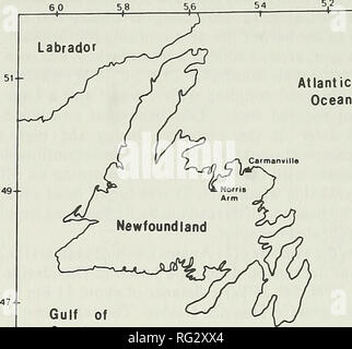 . The Canadian field-naturalist. 1990 Lien, Barry, Breeck, and Zuschlag: Sowerby's Beaked Whales 415 Davidsville. The Norris Arm whale had not been disturbed and was intact. These activities, the time between death and examination and the immediate weather and environmental conditions, affected the extent of examination of the dead whales. Examination procedures as recommended by Myrick (1986) and Hare and Meade (1987) were followed as far as possible; measurements were made following Leatherwood et al. (1982). Aging of the animals was attempted by both cross and longitudinally sectioning a to Stock Photo