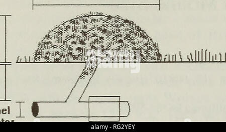 Mole burrow on a field road. Dump of earth near the burrow. Insectivore ...