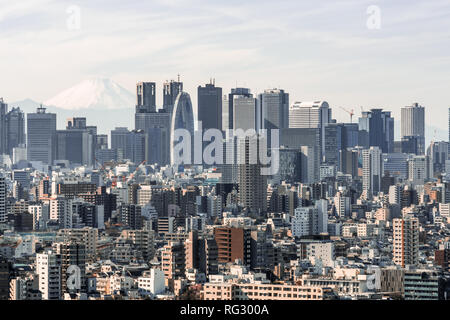 Cityscape aerial view of Shinjuku area with business buildings district and houses, Fuji mountain in background. Tokyo tourist attraction sightseeing Stock Photo