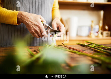 Florist Cutting Stems Close up Stock Photo