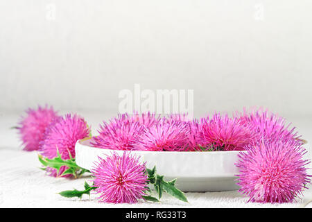 Silybum marianum (milk thistle) herb in a bowl.One of the most common uses of milk thistle is to treat liver problems.Alternative medicine concept on  Stock Photo