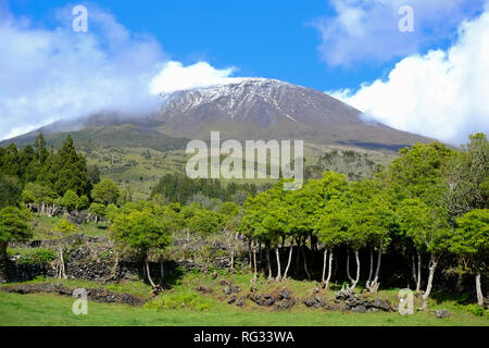 Mount Pico, dormant volcano in the Azores Stock Photo