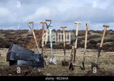 Friday 23rd of March 2018:  The first trees being planted in England's largest forest for more than 30 years at Doddington North Moor Stock Photo