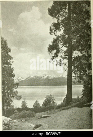 . California fish and game. Fisheries -- California; Game and game-birds -- California; Fishes -- California; Animal Population Groups; Pêches; Gibier; Poissons. 74 CALIFORNIA FISH AND GAME.. Fig. 28. Lake Tahoe, home of the famous Tahoe trout. Photograph by H. A. Parker.. Please note that these images are extracted from scanned page images that may have been digitally enhanced for readability - coloration and appearance of these illustrations may not perfectly resemble the original work.. California. Dept. of Fish and Game; California. Fish and Game Commission; California. Division of Fish an