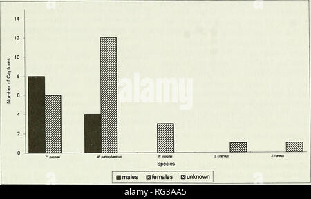 . The Canadian field-naturalist. 1998 Notes 525. Figure 1. The captures of small mammals from 184 trap-nights. and their relative abundances. Trapping success was quite high, almost 20% (35 animals, 184 trap nights; Figure 1), with Meadow Voles {Microtus pennsyl- vanicus) being the most abundant (46% of all captures). Other captures, in order of decreasing abundance were Red-backed Vole, Clethrionomys gapperi; Woodland Jumping Mouse, Napaeozapus insignis; Masked Shrew, Sorex cinereus, and Smoky Shrew, S.fumeus (Figure 1). Breeding Evidence We came across the first Northern Hawk Owl opportunist Stock Photo