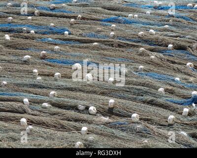ESP, Spain, Balearic Islands, Mallorca : Fishing nets in Port de Soller. Stock Photo