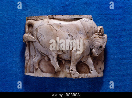 Curved bull: Nimrud Ivory from Room SW37 Fort Shalmaneser within the Assyrian city of Nimrud, Iraq, photographed in the Fitzwilliam Museum, Cambridge. Stock Photo