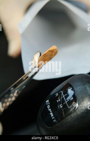 DEU, Germany, NRW: Forensic police officer looks for objects which might have been in contact with a suspect Stock Photo