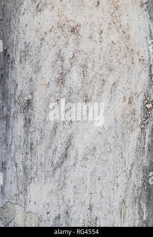 High resolution full frame background of a rough, weathered, damaged and dirty plastered light gray wall. Stock Photo