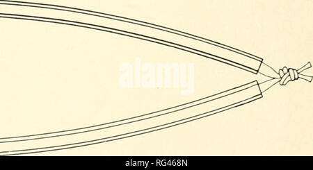 . California fish and game. Fisheries -- California; Game and game-birds -- California; Fishes -- California; Animal Population Groups; Pêches; Gibier; Poissons. FIGURE 8. The Type G tag used In the second field trial The outside tubing of the Type G tag is number 14XTE-30 Fibron cut 22 cm. in length. Through this is i-un a piece of number 20 white XTE- 30 Fibron tubing cut 46 cm. in length. The legend is printed at about the center of the inside tubing. When applied, the white tubing is tied in a double figure eight knot, drawn tight, and about 7 cm. trimmed off the ends. As of June, 1953, a  Stock Photo