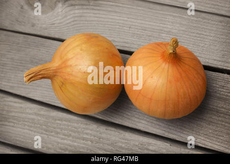 Bulbs in amount of two pieces are located on wooden shelf Stock Photo