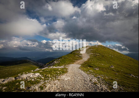 Rocky path in the fresh, green, grassy Rax plateau with and dramatic, cloudy, blue sky to the Kaiserstein Stock Photo