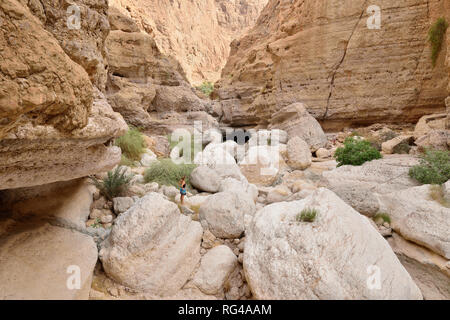 Wadi Shab valley is one of the most amazing in Oman Stock Photo