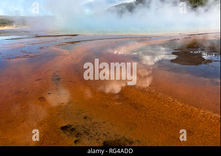 WY02993-00...WYOMING - Clouds reflecting in the mat of colorful algea around the sides of Grand Prismatic Spring. Stock Photo
