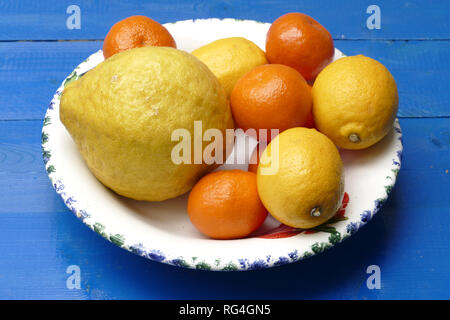 Cedrat, lemon and mandarine in studio. Stock Photo
