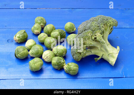 Brocoli and brussels sprouts in studio. Stock Photo