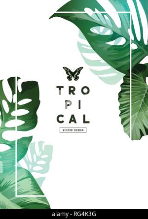 A elegant botanical Floral background frame design with palm tree leaves. Vector illustration Stock Vector