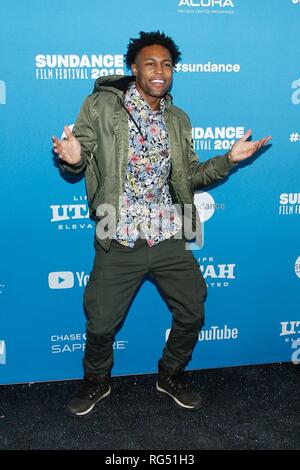 Park City, UT, USA. 27th Jan, 2019. at arrivals for LUCE Premiere at Sundance Film Festival 2019, Library Center Theatre, Park City, UT January 27, 2019. Credit: JA/Everett Collection/Alamy Live News Stock Photo