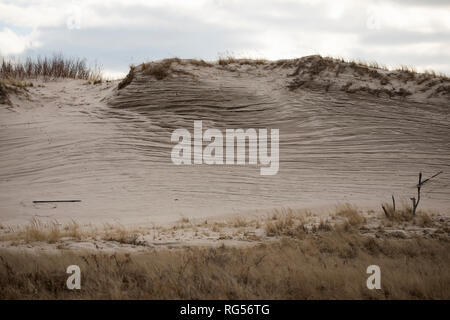 Winter sand dunes along the trail at Crane Beach in Ipswich, Massachusetts, USA. Stock Photo