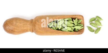 Green cardamom seeds in wooden scoop isolated on white background. Top view. lay flat. Stock Photo