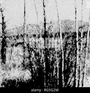 . Monitoring animal use of modified drainage culverts on the Lolo South ...