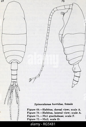 . Calanoid copepods of the genera Spinocalanus and Mimocalanus from the central Arctic Ocean, with a review of the Spinocalanidae / David M. Damkaer. Copepoda Arctic Ocean.. Spinocalanua horridus, female Figure 69.—Habitus, dorsal view; scale A. Figure 70.—Habitus, lateral view; scale A. Figure 71.—Mxl gnathobase; scale F. Figure 72.—Mx2; scale D. Figure 73.—Mxp; scale C. Figure 74.—PI; scale C.. Please note that these images are extracted from scanned page images that may have been digitally enhanced for readability - coloration and appearance of these illustrations may not perfectly resemble Stock Photo