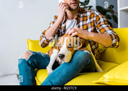 cropped view of man talking on smartphone and petting dog Stock Photo