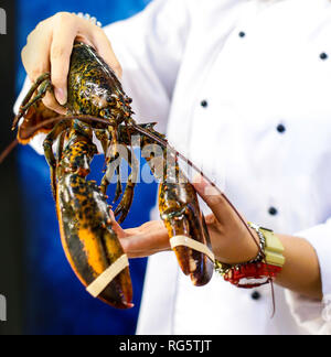 fresh lobster at the seafood market Stock Photo