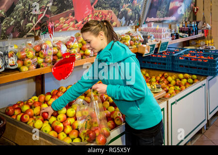 Customer buys apples at farm shop, Kundin kauft €pfel im Hofladen Stock Photo