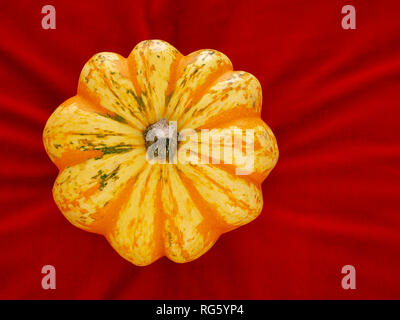 Ornamental squash, pumpkin on red velvet cushion background, natural radiating lines for background. Stock Photo