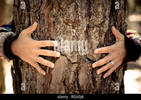 Woman hugging tree bark - fingers with rings and love protection environment nature concept for new world feeling the outdoors natural spaces - love a Stock Photo