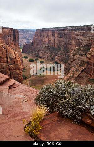 Canyon de Chelly National Monument, Arizona, USA Stock Photo